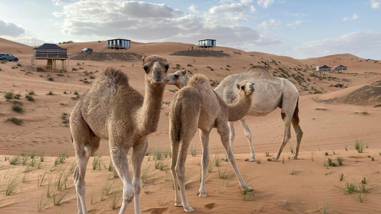 Oman Desert Private Camp Shahiq Екстер'єр фото